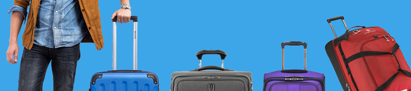 Bergman Luggage