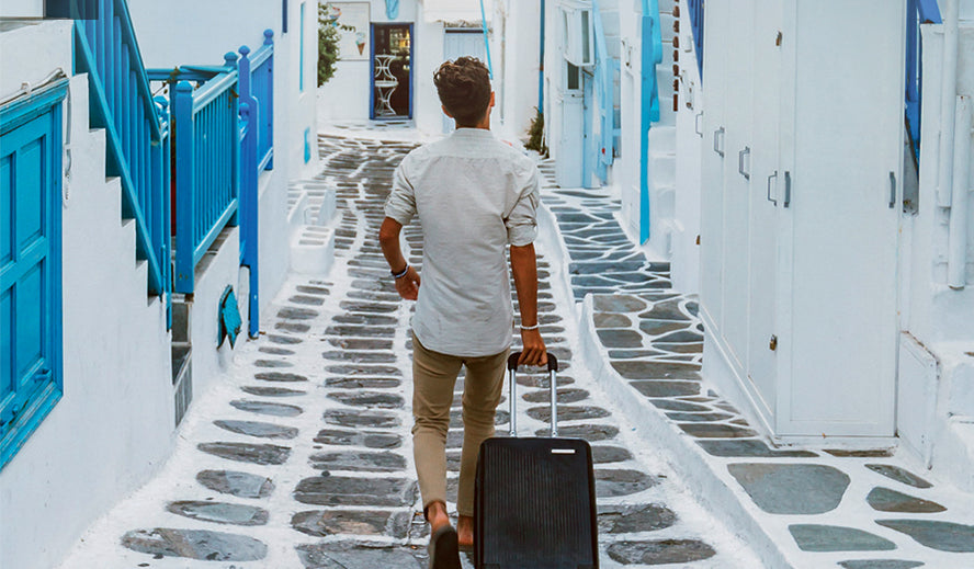 Bergman Luggage