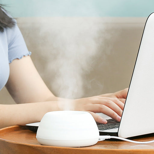 Voltage Valet - Collapsible Personal Travel Humidifier